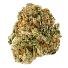 Critical strain for sale UK