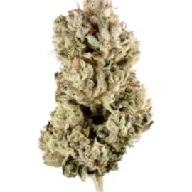 Gorilla Glue strain for sale UK