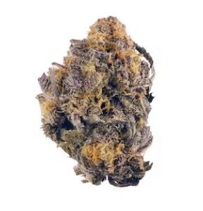 Purple Kush weed UK